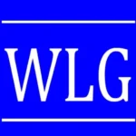 CN hair wig Wise Link Group